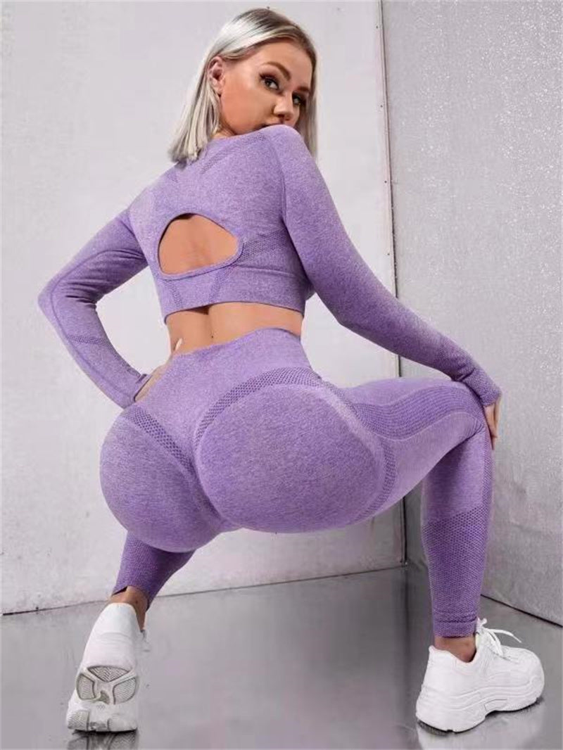 Two-Piece Top And Butt Lifting High Waist Seamless Leggings Outfit